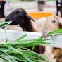 搜索 - 一竞技